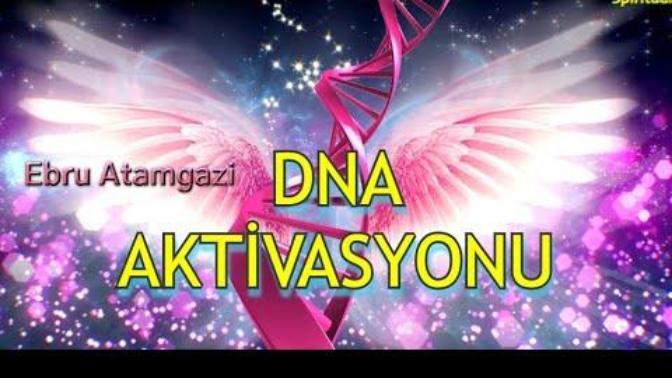 Dna Aktivasyonu yapmak istiyor musunuz?
