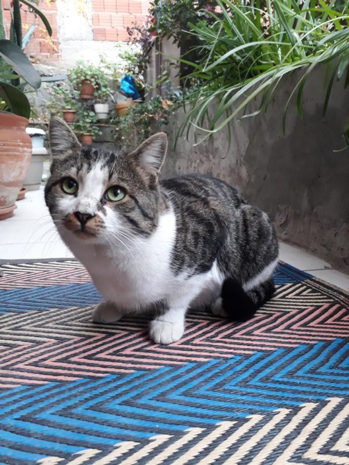 gözüne dal girenin şimdiki hali fdksfksjf :)