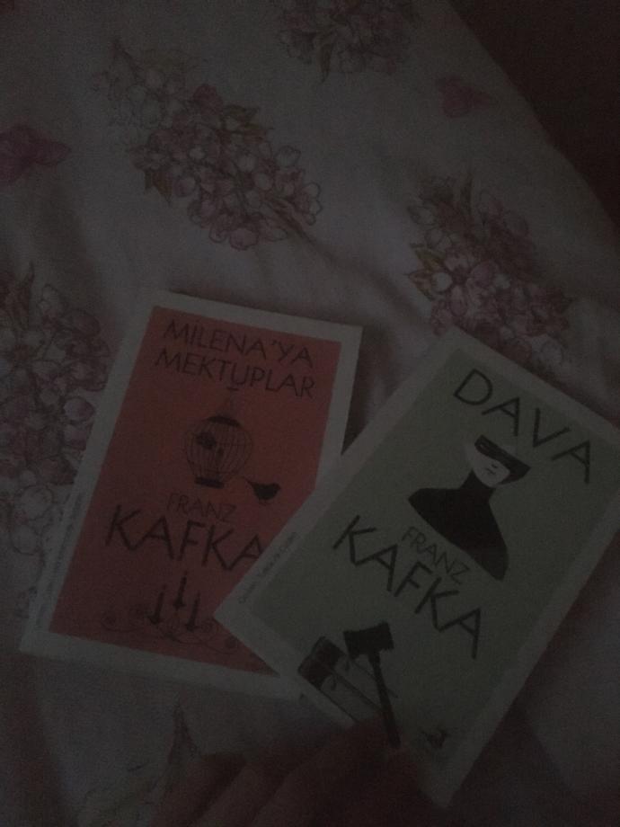 Franz kafkanın bu iki kitabından hangisine başlayayım sizce?