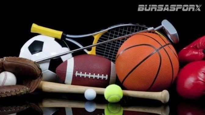Hangi spor dallarını seversiniz?