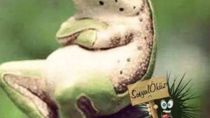 "Göle su gelinceye kadar, kurbağanın gözü patlar" Sizinde zamanında gelmeyen, olmayan, gerçekleşmeyen, yapılmayan neleriniz oldu?