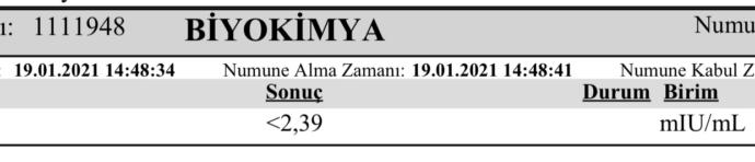 Beta hcg testi yaptırdım sizce değer yükselir mi?