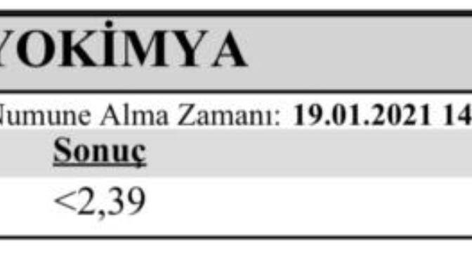 Beta hcg testi yaptırdım sizce değer yükselir mi?