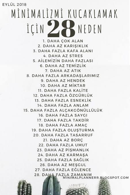 Minimalizm icin senin sebebin hangisi?