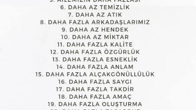 Minimalizm icin senin sebebin hangisi?