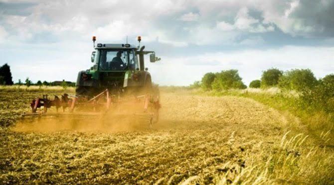 Hangi işle mesgülsünüz ekmek tekneniz nedir?
