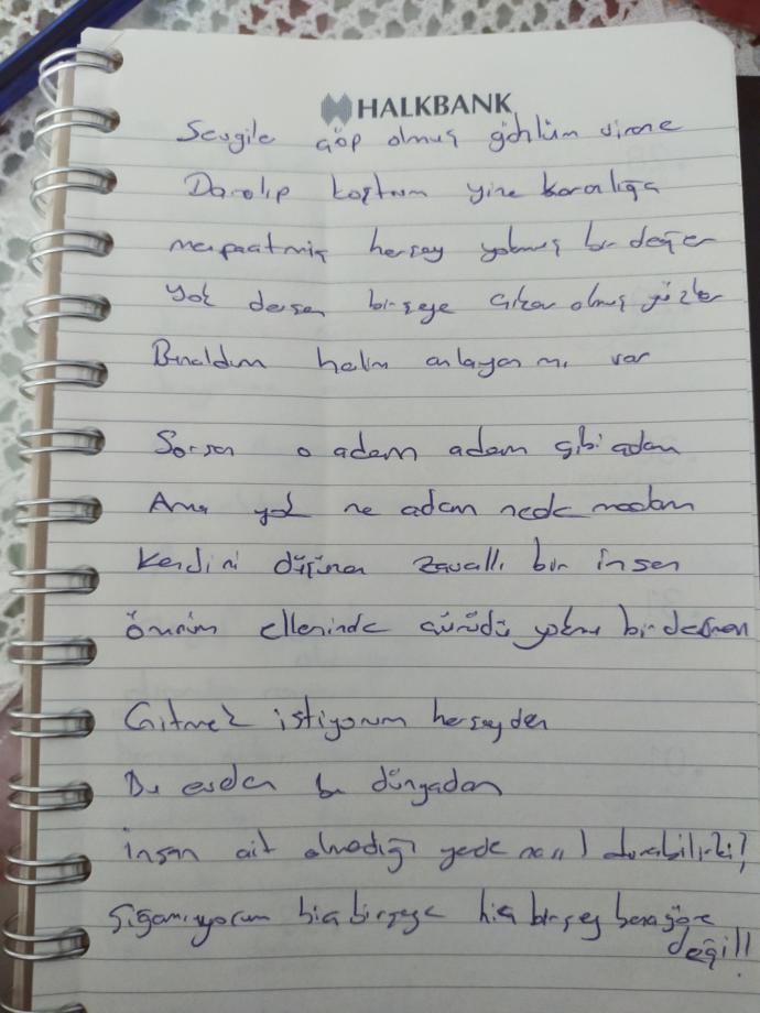 Şiirim nasıl olmuş azıcık karaladim?