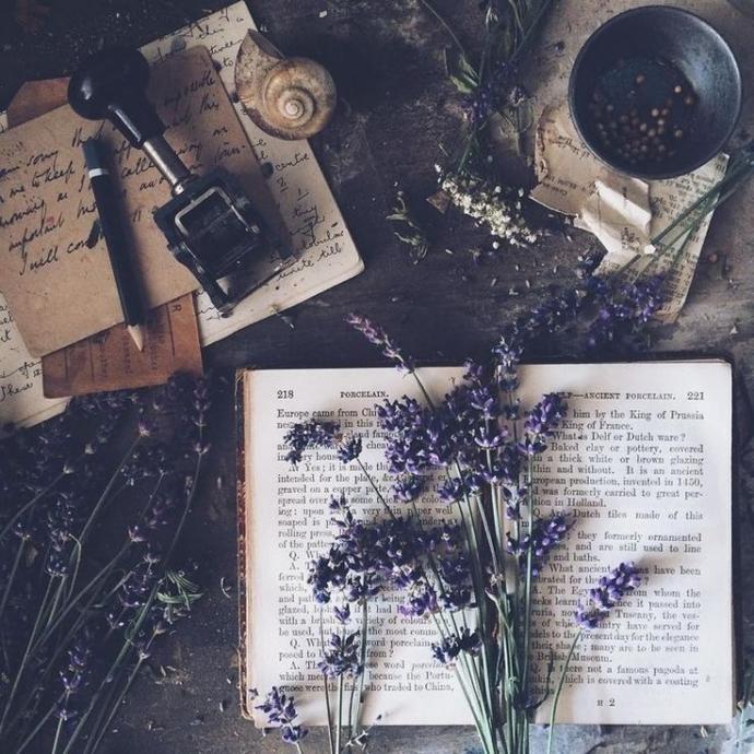 Hayatınız kitap olsa kaç sayfa olurdu?