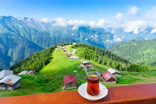 Karadeniz İnsanları Neden Gergin Ve Sinirli?