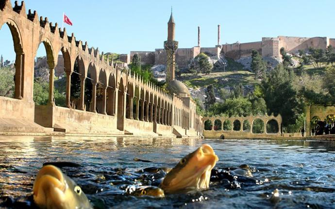 Türkiyede insanlar doğduğu kentte yaşasaydı en kalabalık il Şanlıurfa olacaktı. Peki sen doğduğun şehirde mi yaşıyorsun?