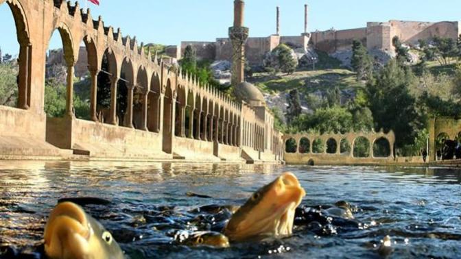 Türkiye'de insanlar doğduğu kentte yaşasaydı en kalabalık il Şanlıurfa olacaktı. Peki sen doğduğun şehirde mi yaşıyorsun?