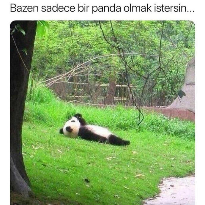 Hepinizden nefret ediyorum ama tek başıma da canım sıkılıyor ne önerirsiniz?