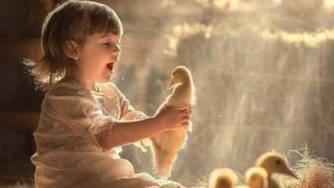 Çocuklara ölüm anlatılmalı mı? Anlatılırsa nasıl anlatılmalı?