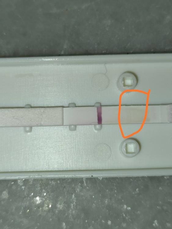 Hamilelik testi sonucuma bakabilirmisiniz?