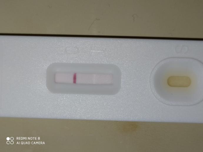 Hamilelik testi sonucuma bakabilirmisiniz?