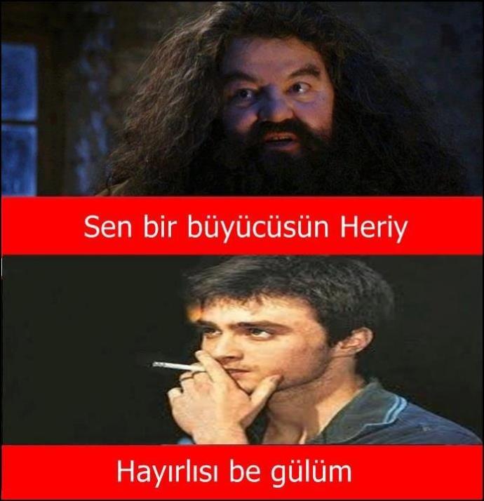 Harry Potter dizi oluyor! Hangi efsanevi filmin dizi olmasını istersiniz?
