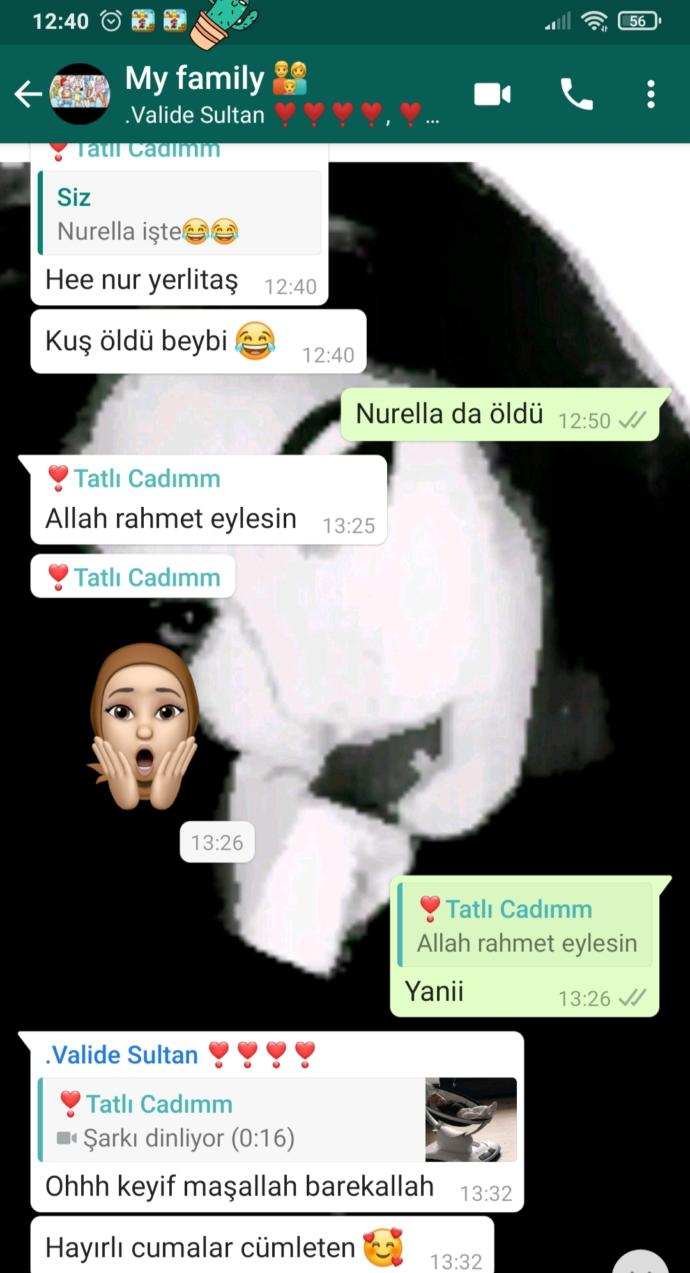Akraba Whattsap Grubuna Dahilmisiniz?
