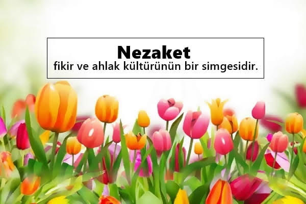 En Çok İhtiyacını Duyduğumuz Konulardan Biri