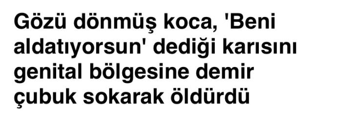 Diyarbakırda 13 yıllık karısını özel bölgesine demir çubuk sokarak öldüren cani koca, beni aldatıyordu demiş, ne düşünüyorsunuz?