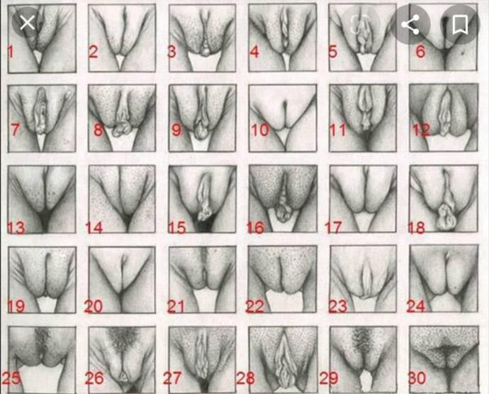 Beğenilen ve istenilen vulva şekli nedir?