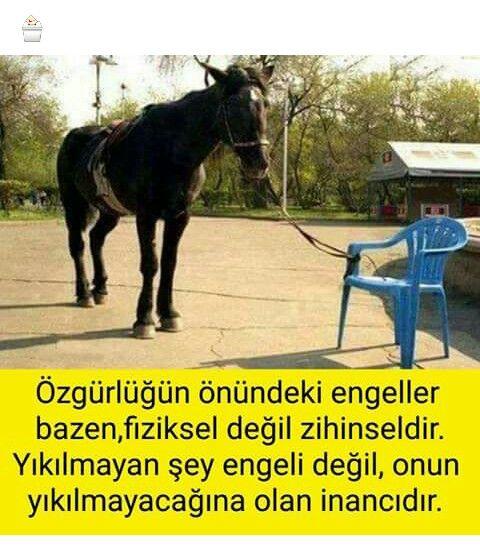 Çıkmaza giren bir insan son çare ne şekilde kendini kurtarabilir?
