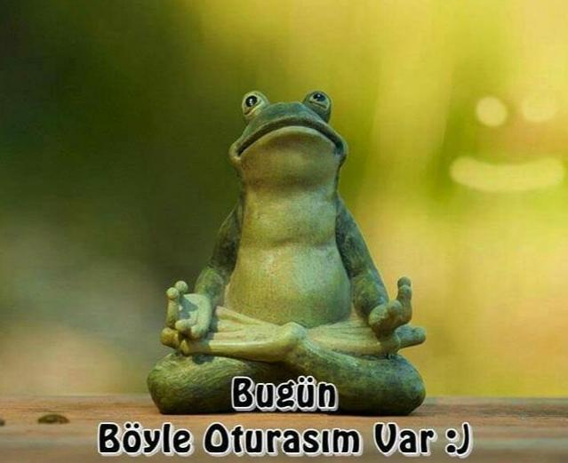 Sıkılgan biri misin?