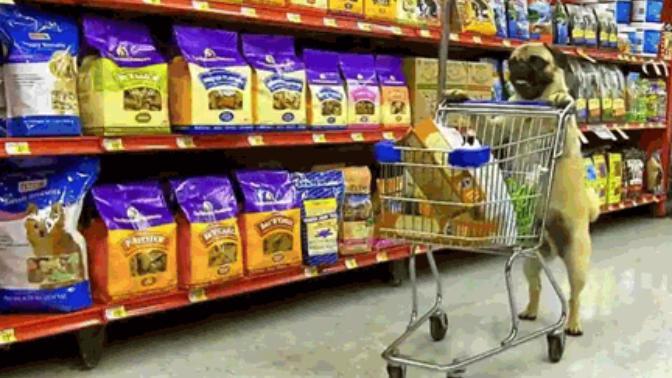 Market alışverişlerinizi hangi zamanlarda yaparsınız?
