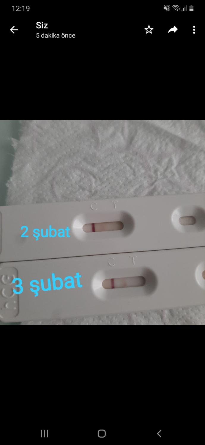 Silik çizgi gebelikmi?
