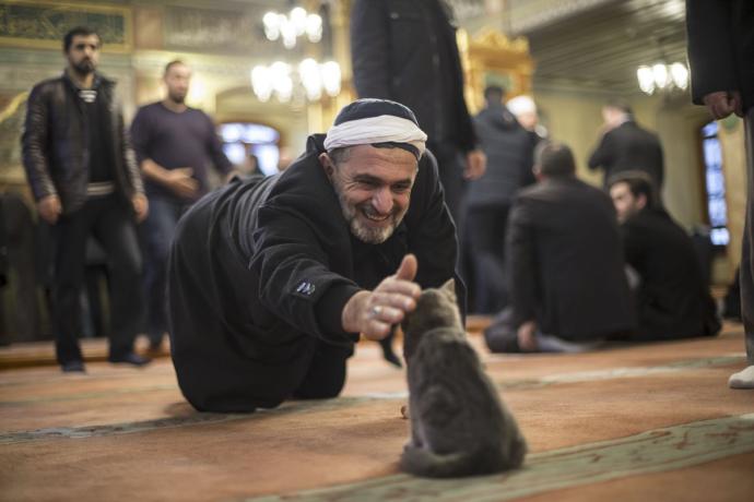 Merhamet, masum olduğu için her kalbe misafir olmaz. Sence merhamet sahibi insanlar hala var mı?