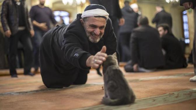"Merhamet, masum olduğu için her kalbe misafir olmaz." Sence 'merhamet' sahibi insanlar hala var mı?