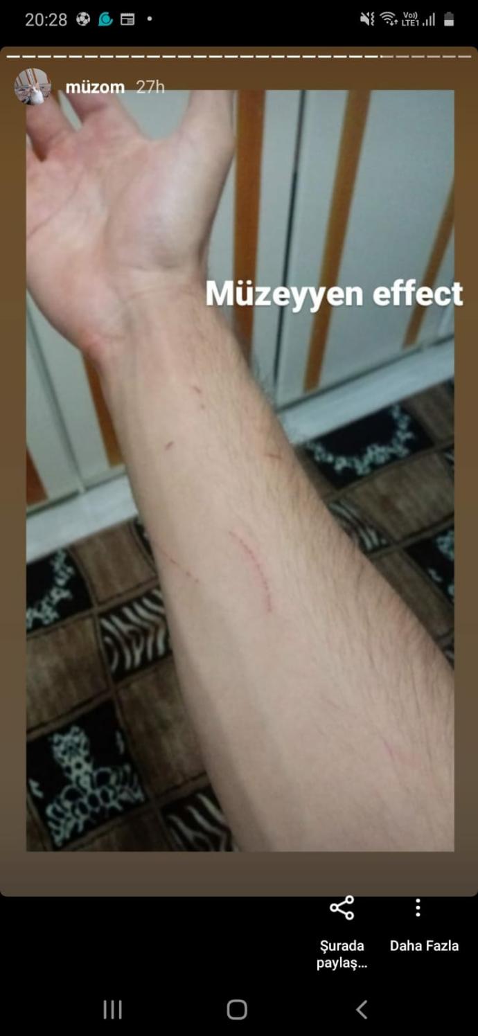 Tavşanım beni çiziyor?