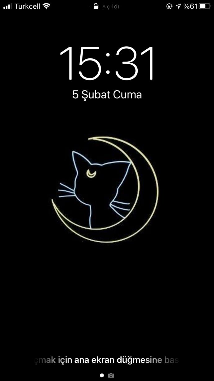 Telefonunuzun ekranında nasıl bir duvar kağıdı var?