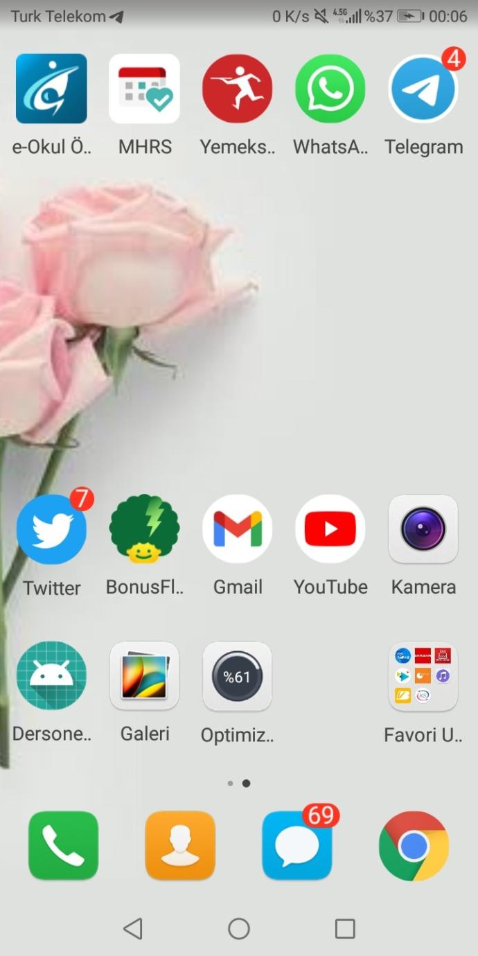 Telefonunuzun ekranında nasıl bir duvar kağıdı var?