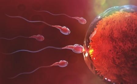 Covid-19 öldürmeyip kısır bırakıyor olsaydı daha mı az yayılırdı sizce?