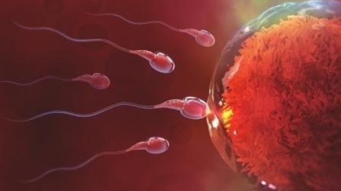 Covid-19 öldürmeyip kısır bırakıyor olsaydı daha mı az yayılırdı sizce?