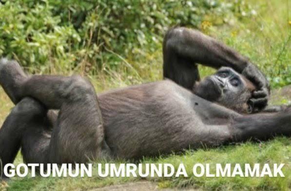 Biz bu dünyaya başkalarının aşkını izlemeye mi geldik?