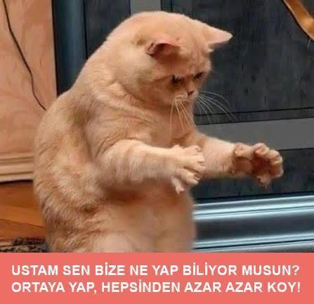 Evde stor perdeler mi yoksa dikey perdeler mi kullanım açısında daha pratik?