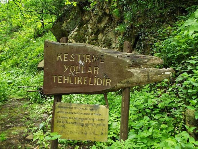 Kestirme yollar neden tehlikelidir?