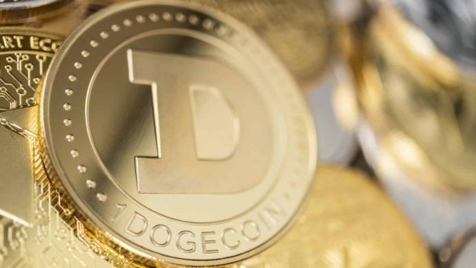 Dogecoin nasıl alınır? Nereden alınır? Bilenler?