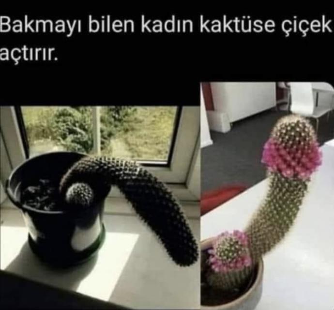Ereksiyon sorununa acil müdahale?