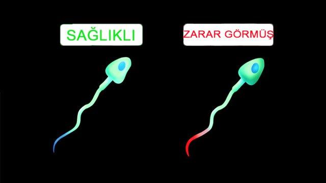 Sağlıklı Çocuk Yapmak Sizce Şans İşi mi?