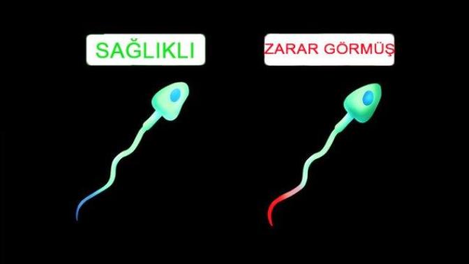Sağlıklı Çocuk Yapmak Sizce Şans İşi mi?