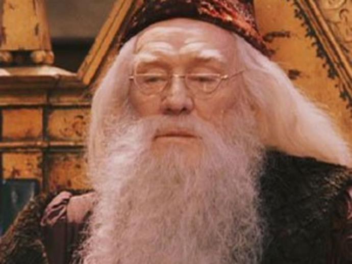 Harry Potterda en sevdiğiniz karakter hangisi?