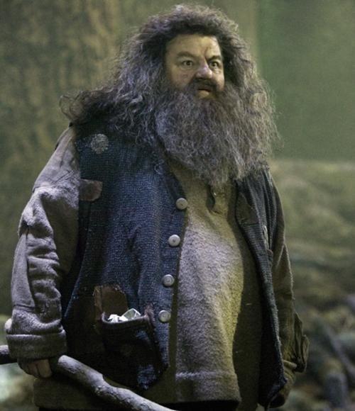 Harry Potter'da en sevdiğiniz karakter hangisi?