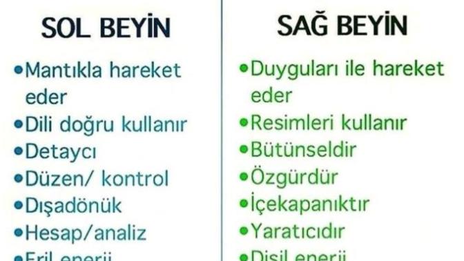 Beyninizin hangi yönü daha baskın? Sağ mı yoksa sol mu?