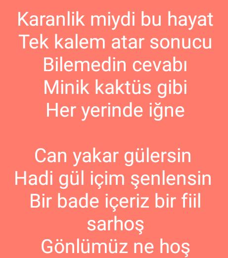 Şiirim nasil yazar olur muyum?