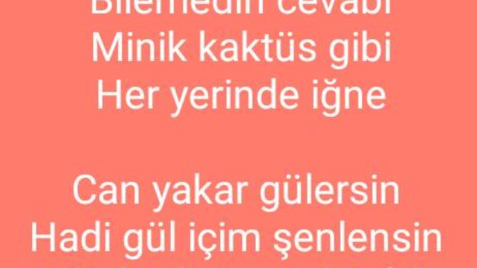Şiirim nasil yazar olur muyum?