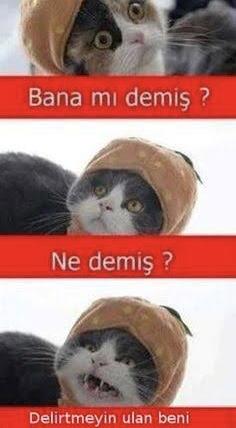 Sevgilisine “Çen benim çevgilim misiiin aşşkııım” diye seslenen Barış Murat Yağcı gibi biri size seslense naparsınız?