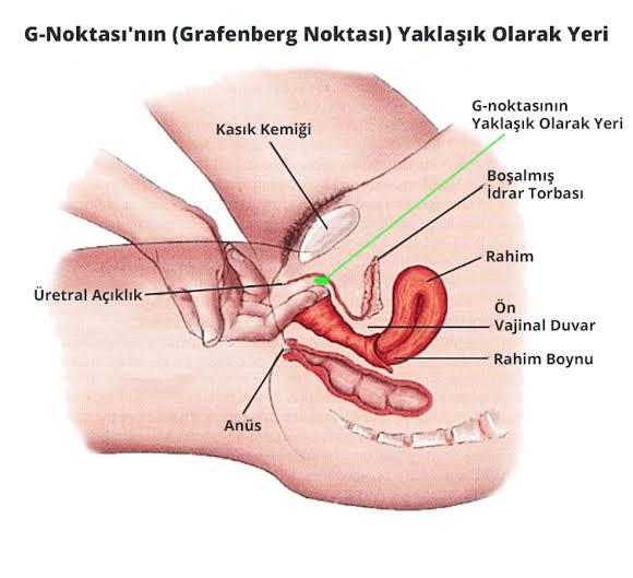 Kadınlarda orgazm sırrı nedir?