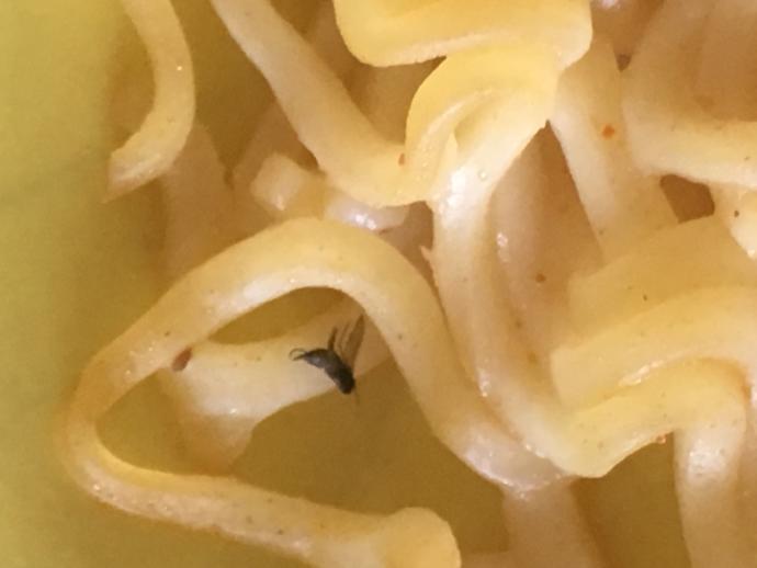 Noodle ın içinden böcek çıktı?